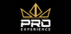 PROexperience logo
