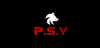 Parking Service Navette logo