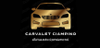 Car Valet Ciampino (Paga online) logo