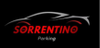 Sorrentino Parking Plus (Paga online) logo